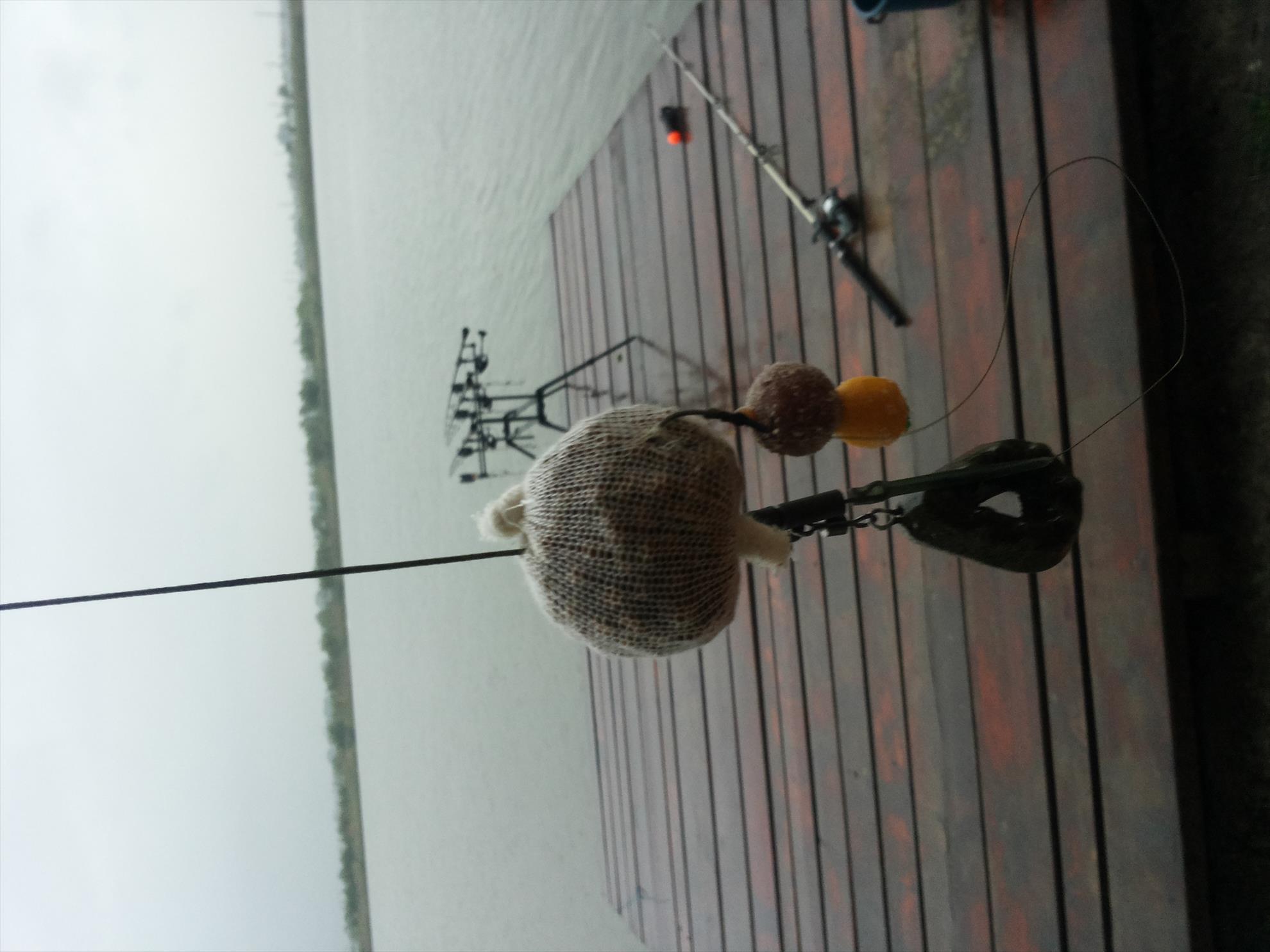 Pleasa 04-05-14 - 20140504065843.jpg